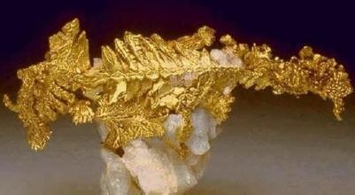 狗头金一般卖多少钱