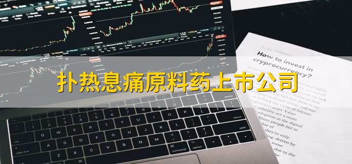 扑热息痛原料药上市公司